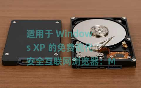 适用于 Windows XP 的免费现代安全互联网浏览器：Mypal 浏览器